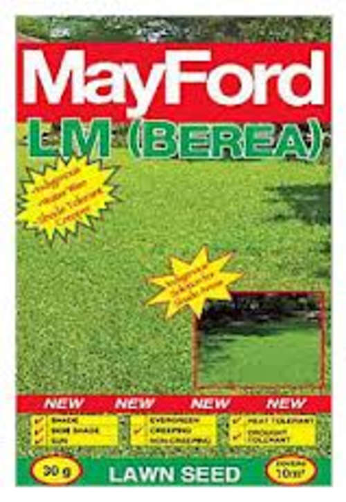 Mayford LM (Berea) Lawn Seed