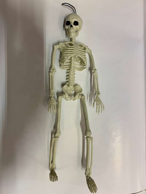 30cm Skeleton Decoration