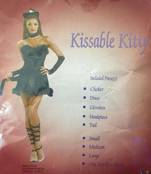 Kissable Kitty Costume