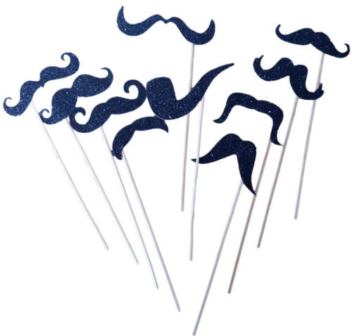 Photo props- Photo Booth Props on sticks- 10 per pack