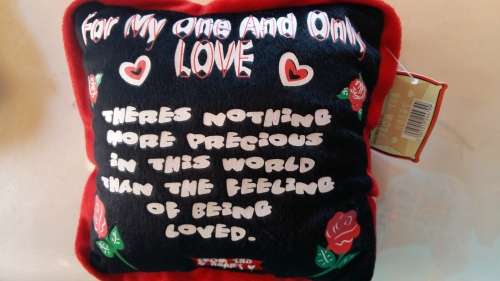 Valentines day pillow