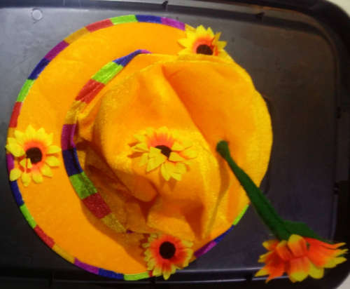hawaiian hat