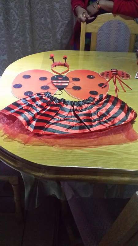 Ladybird/ ladybug outfit and dress up