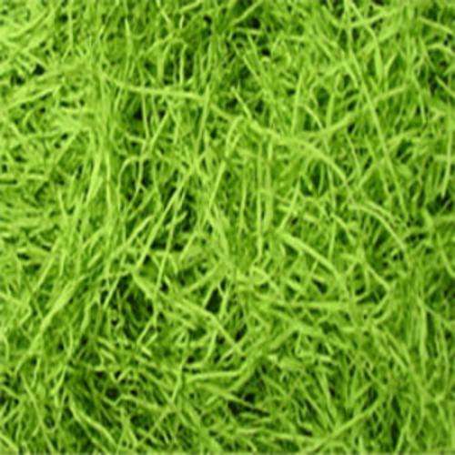 Paper Confetti-GREEN