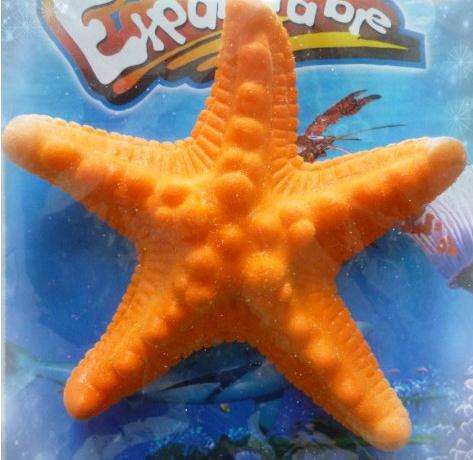 Water Growing Sea Creatures - starfish-ASSORTED COLOURS