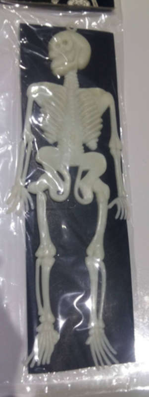 Halloween Hanging Skeleton for decor