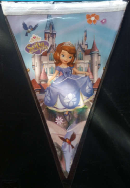 Sofia the First party Triangle/flag Banner