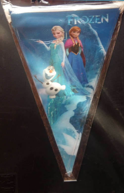 Frozen party Triangle/flag Banner