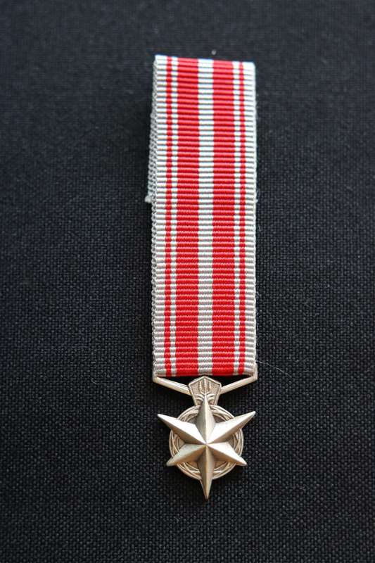 Miniature SA Police Star for Combating Terrorism EF