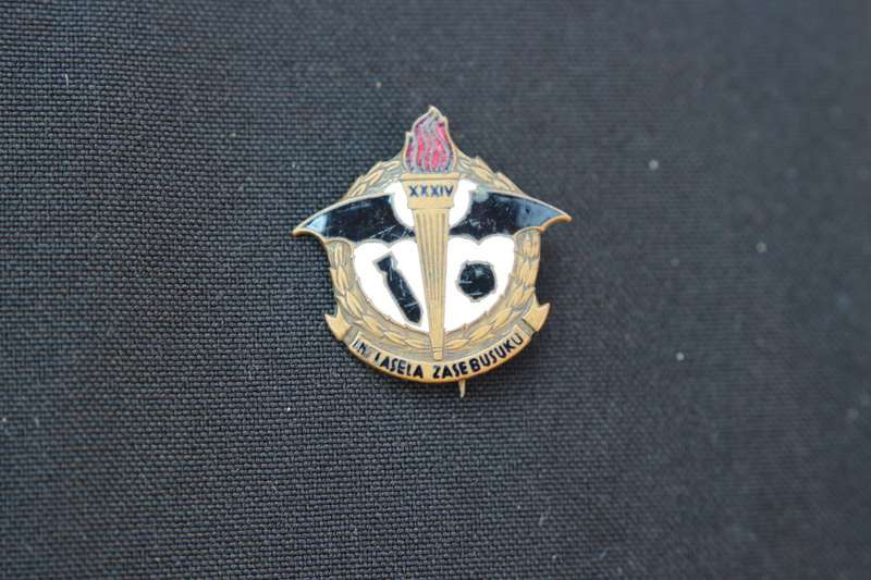 34 Squadron SAAF pin