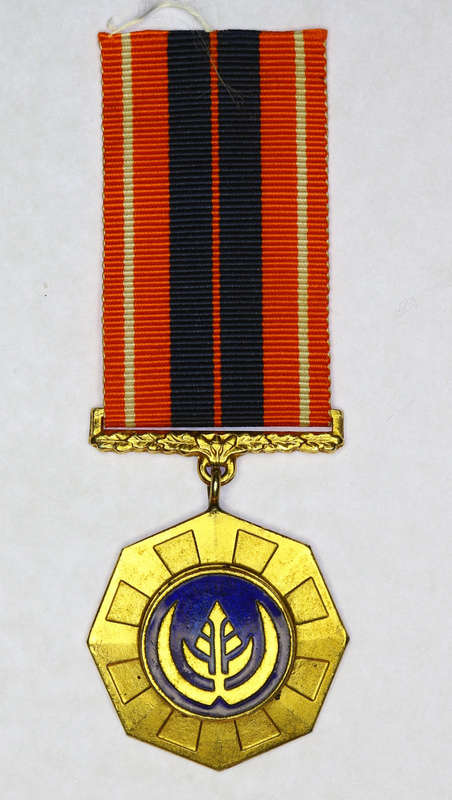 Pro Patria medal, No 11474, with Award Certificate to Cpl G J du Plessis EF