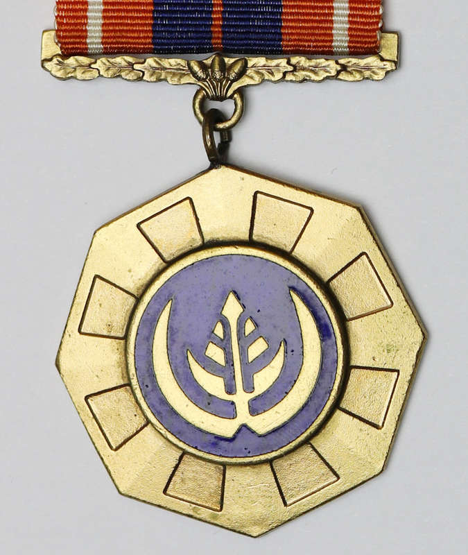 Pro Patria Medal (No. 54) with Cunene, Silver Service clasp and Mention in Despatches Emblem EF