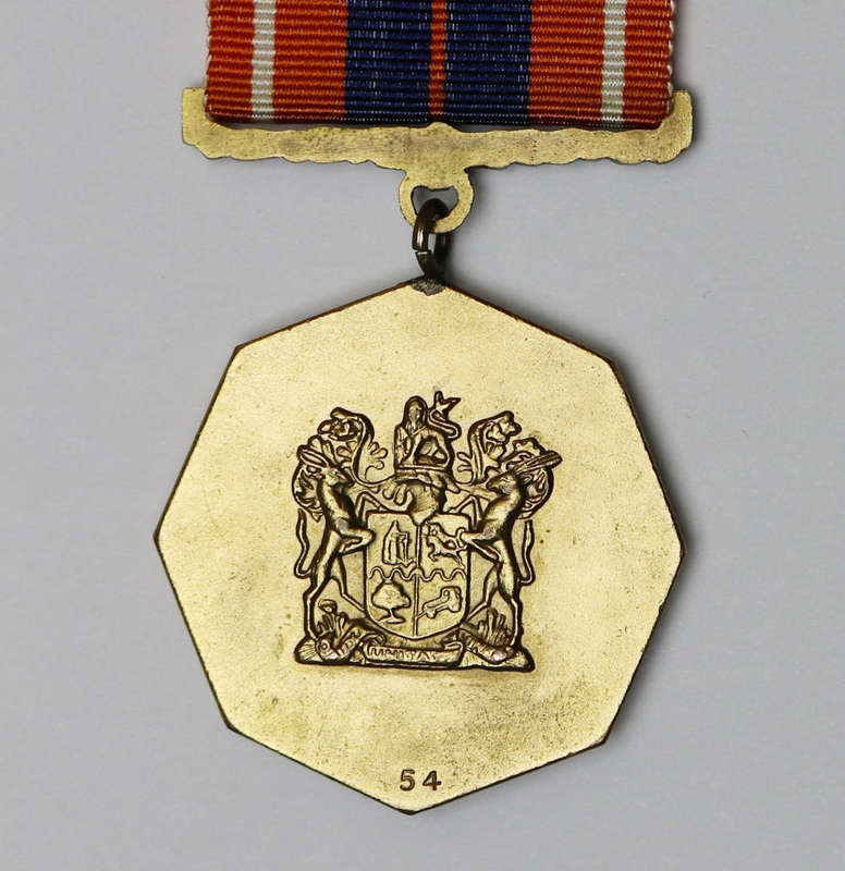 Pro Patria Medal (No. 54) with Cunene, Silver Service clasp and Mention in Despatches Emblem EF