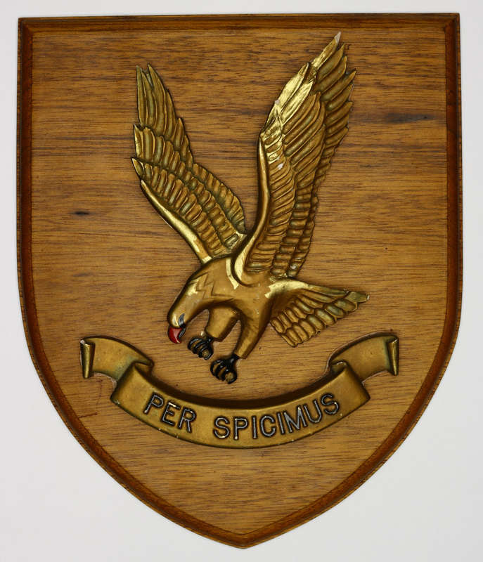 42 Squadron South African Air Force plaque