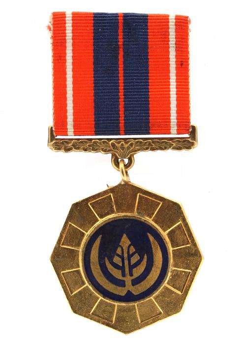 SADF Pro Patria Medal first type link suspender & enamelled roundel numbered