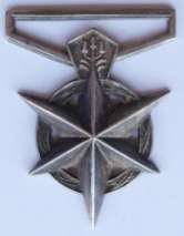 South African Police Medal for Combating Terrorism