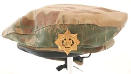 Special Task Force Beret & Brassard