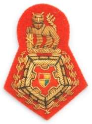 Gold Bullion Cap and Beret Badge worn by Colonels and Brigadiers