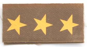 Captain Rank Insignia