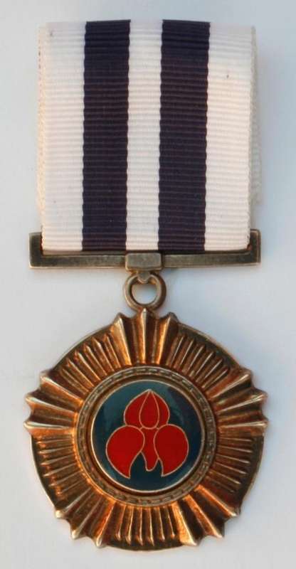 Pro Merito Medal (Plastic Coated Variant)
