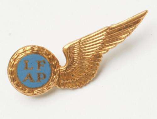 South African Air Force Lug Fotograaf / Air Photographer Half Wing