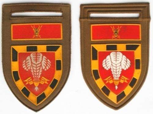 1 S.A. Infantry Battalion Rubberised Flashes Tupperware