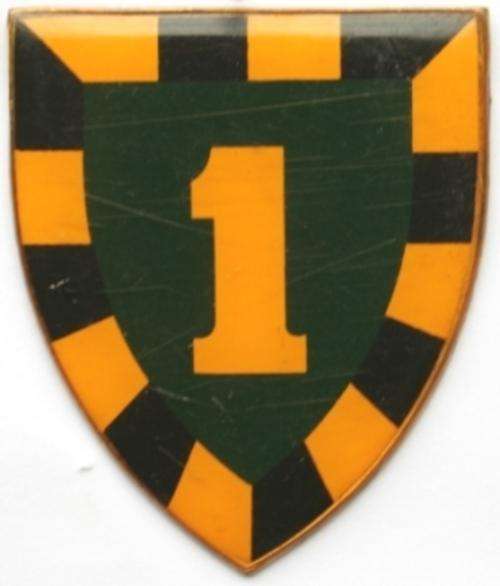 1 S.A. Infantry Battalion Flash