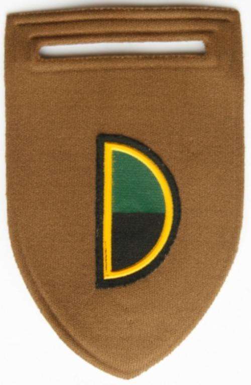 Infantry "F" Coy Rubberised Arm Flash