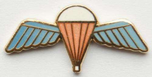 Parachute Wing Pin