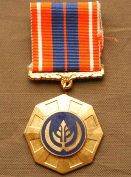Full Size Pro Patria Medal Link Suspender Second Type Numbered with Ribbon and Ribbon Bar