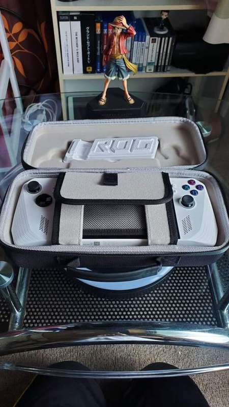Asus ROG Ally Waterproof Carry Case