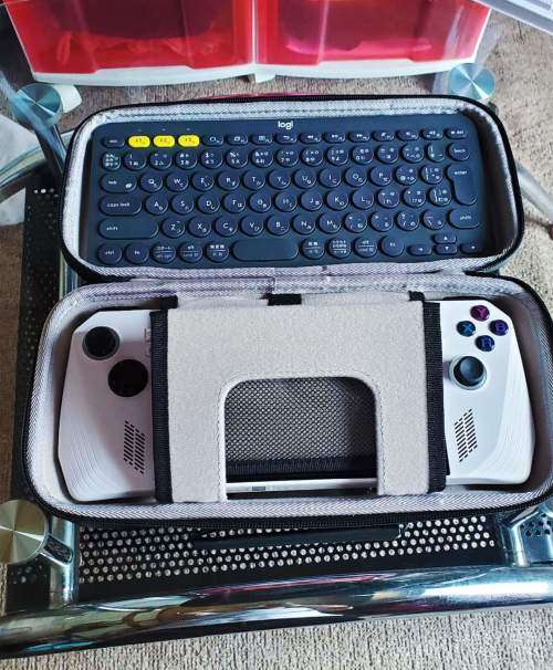 Asus ROG Ally Waterproof Carry Case