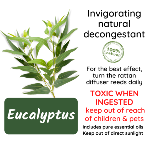 Reed Diffusers to Enhance your environment - Eucalyptus: Invigorating natural Decongestant