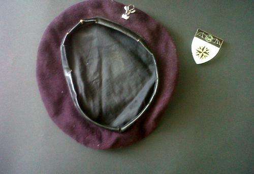 2 Recce Shoulder Flash and Recce/Para Beret