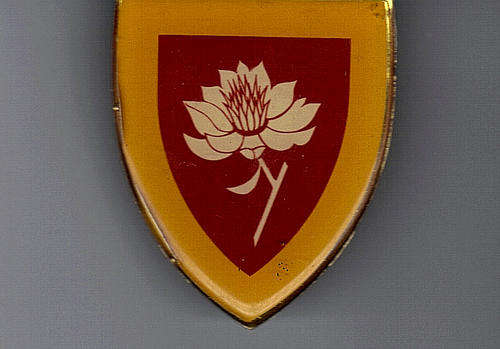S A Womans College Shoulder Flash