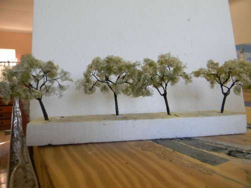 TREES