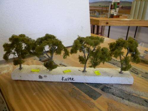 TREES