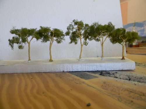 TREES