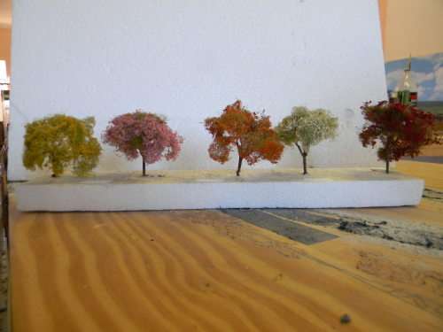 SHRUBS