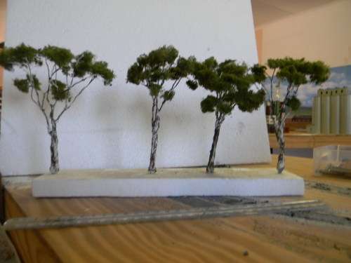TREES