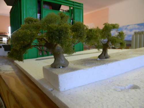 TREES