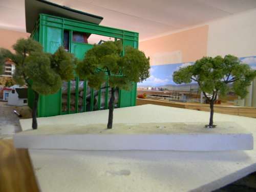 TREES