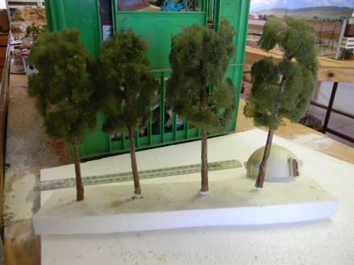 TREES