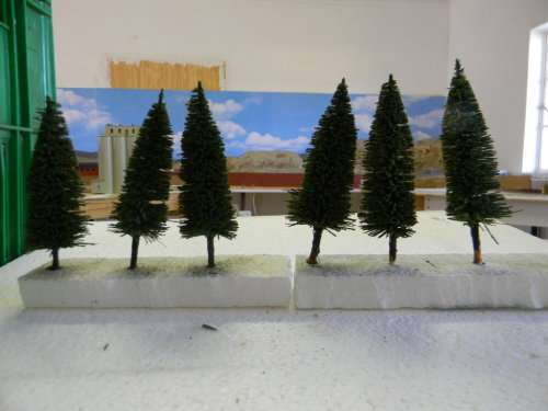 TREES
