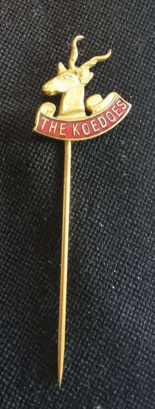 Vintage large Koedoepark Pretoria embroidered cloth patch + The Koedoes pin badge