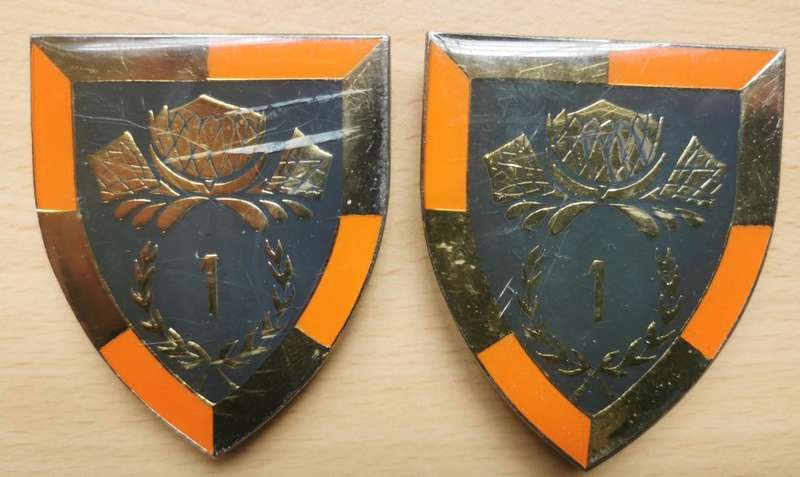 Pair of 1 Special Service Battalion flashes
