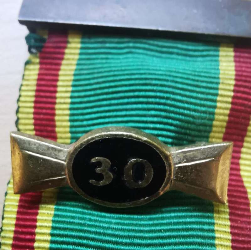 Early Union of South Africa boy scouts long service medal - 30 years service
