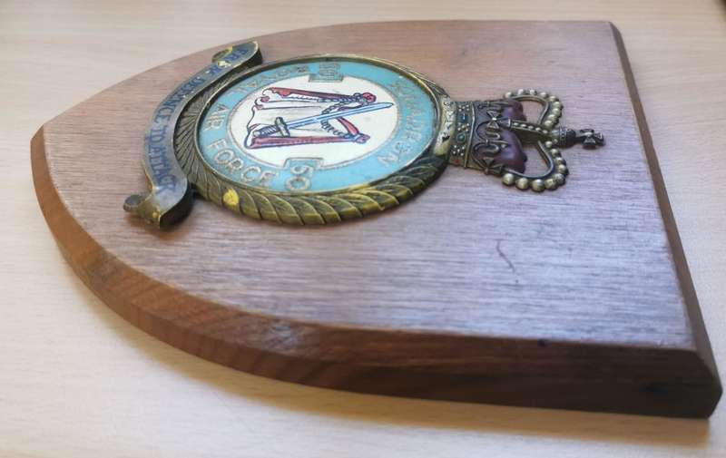 Rare Royal Air Force (RAF) Squadron 50 handpainted plaque queen`s crown