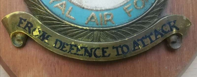 Rare Royal Air Force (RAF) Squadron 50 handpainted plaque queen`s crown