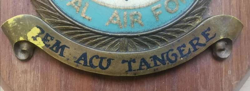 Rare Royal Air Force (RAF) Squadron 10 handpainted plaque queen`s crown
